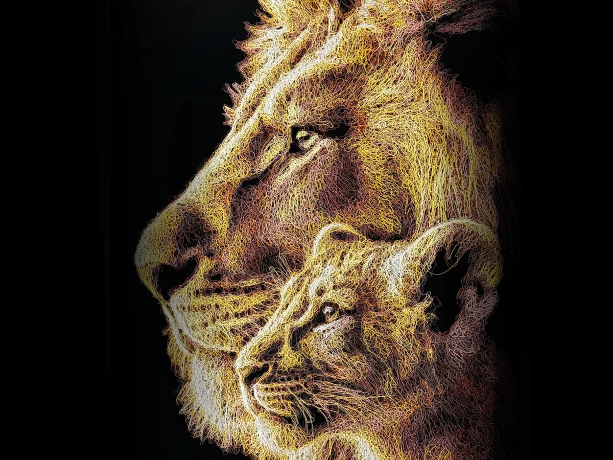 Big Cats Collection Header Image Lion and Cub looking for prey