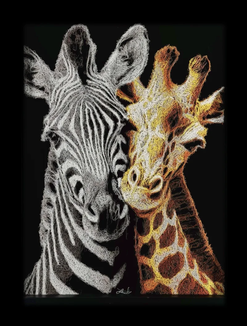 Giraffe and Zebra hugging each other
