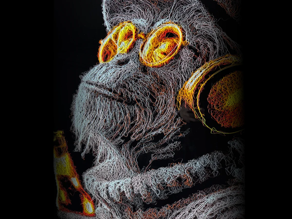 Primates Collection Header Image Monkey wearing sunglasses drinking beer