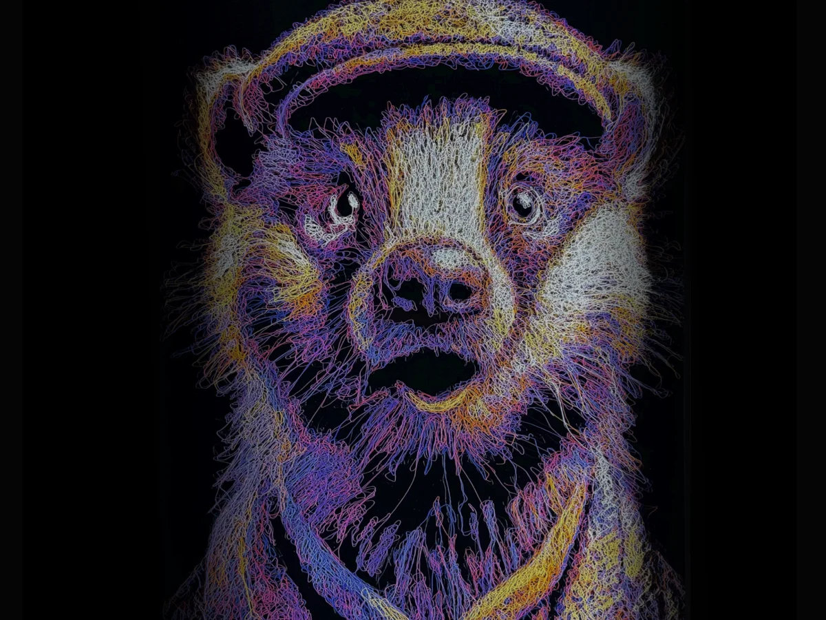Woodland Collection Header Image Suprised badger wearing a flat cap and jacket